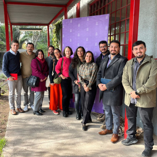 RDM propuestas