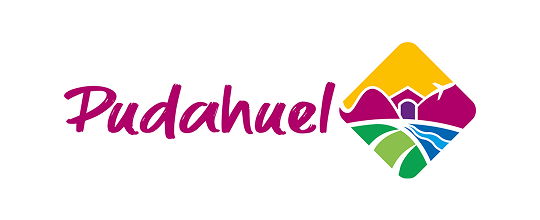 logo-pudahuel
