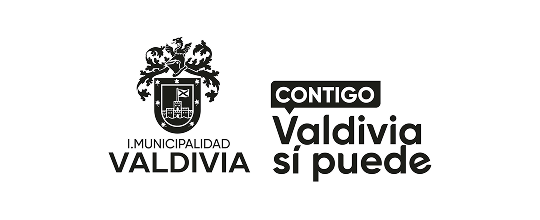logo-valdivia